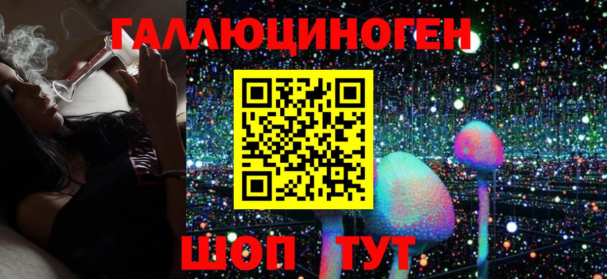 Псилоцибиновые грибы Psilocybe  Тулун 