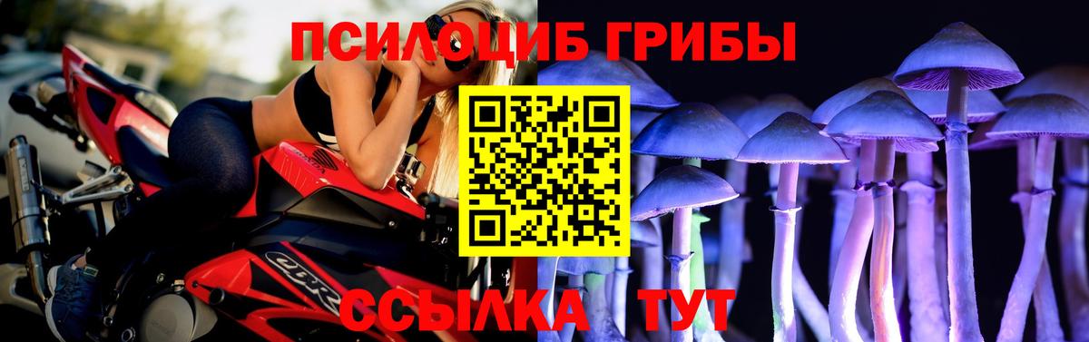 Псилоцибиновые грибы Magic Shrooms  Вход с VPN  Тулун  Галлюциногенные грибы GOLDEN TEACHER 